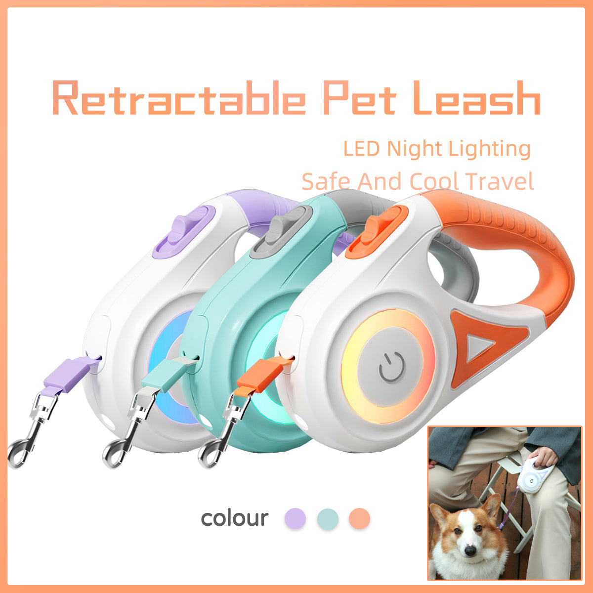 Dog Leash